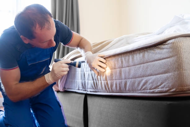 Best Fumigation Services  in Elizabeth, PA